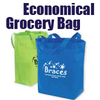 Economical Grocery Bag